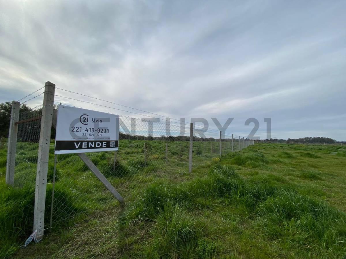Terrenos en Venta en Berisso, Los Talas — foto 1