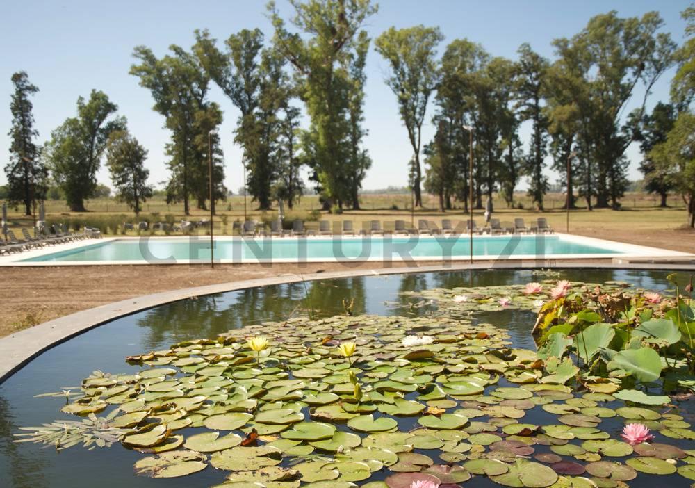 VENTA Lote 335 interno | Barrio Norte, Tres Pinos, General Rodríguez – ACEPTA PERMUTA — foto 1