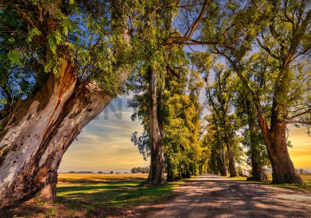 VENTA LOTE 191 EN BARRIO ESTRIBO – VILLA DE CAMPO TRES PINOS, GENERAL RODRÍGUEZ – ACEPTA PERMUTA — foto 1