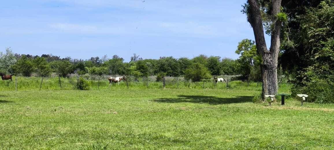 VENTA/ CAMPO/ LOS CARDALES (EXALTACION DE LA CRUZ) — foto 1