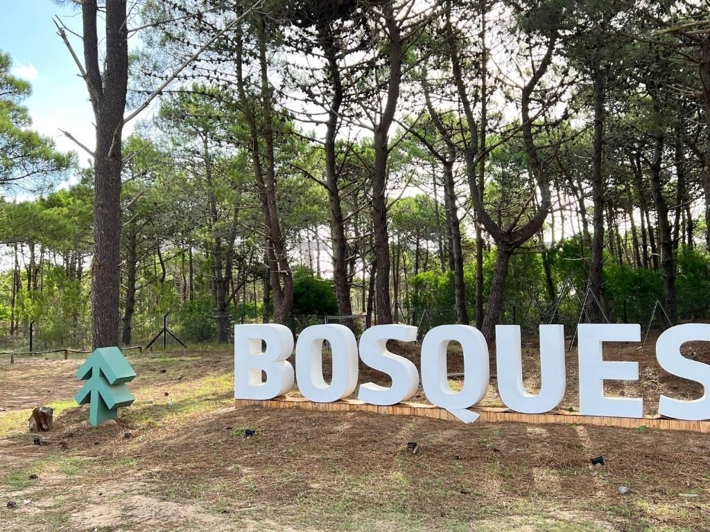 Terreno en Pinamar — foto 1