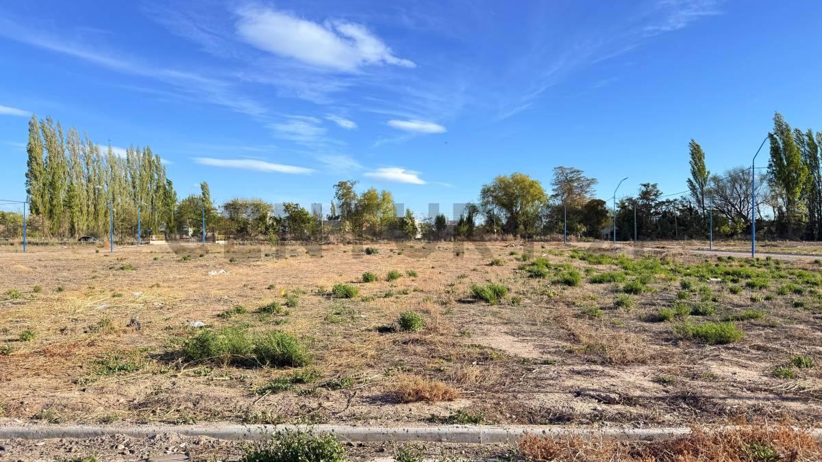TERRENO EN LOTEO BARTORELLI. GENERAL ROCA — foto 1