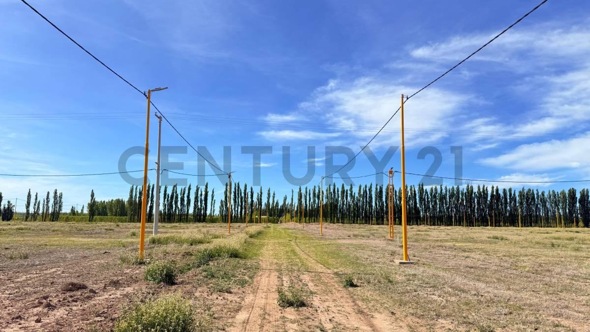 VENTA DE TERRENO EN LOTEO LA RUFINA III — foto 1