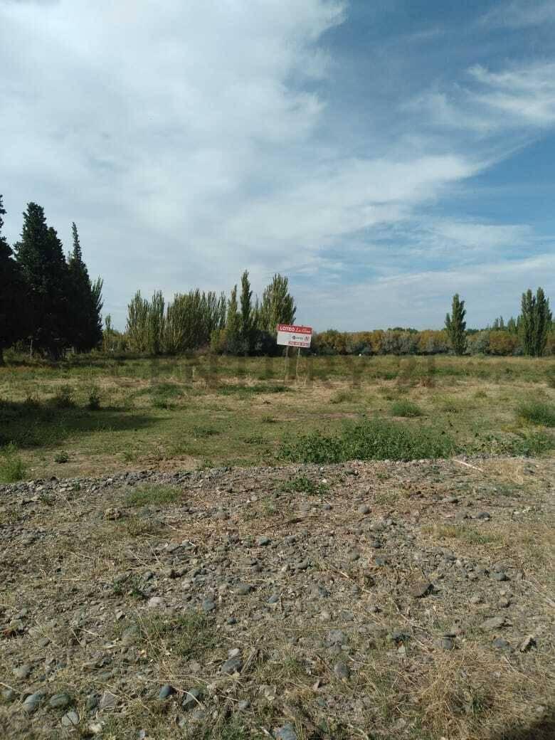 Terreno en el B° La Elena - Allen — foto 1