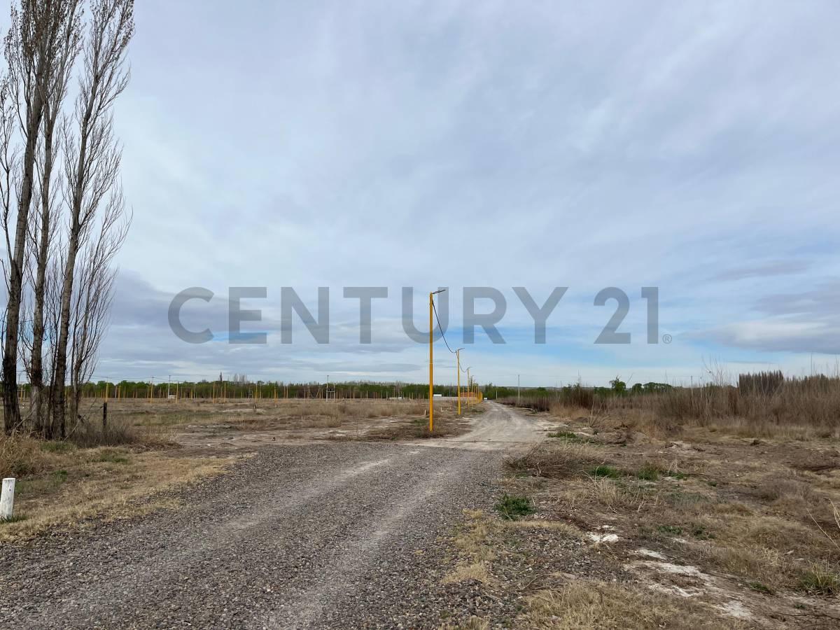 Terreno en Loteo Rufina Etapa I — foto 1