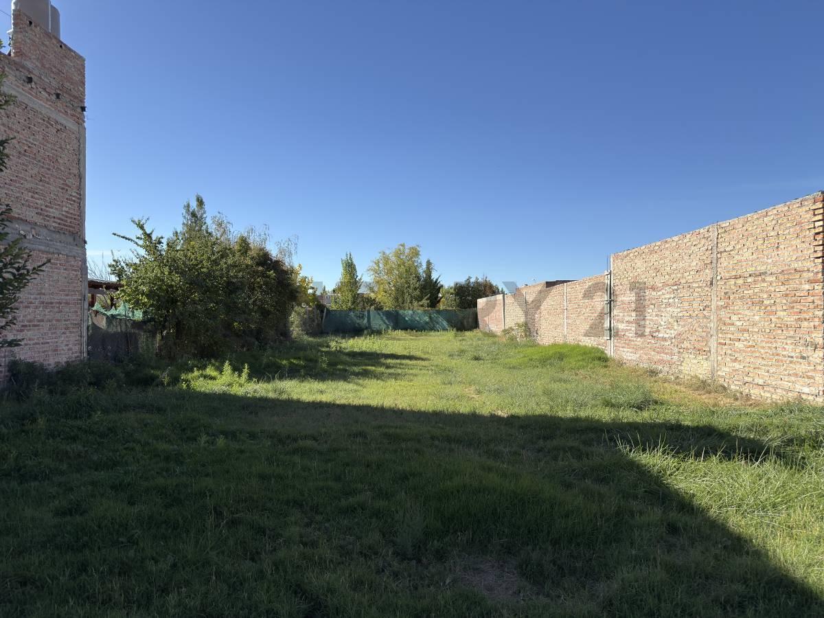 Terreno EN VENTA en la ciudad de General Roca; Barrio Stefenelli — foto 1