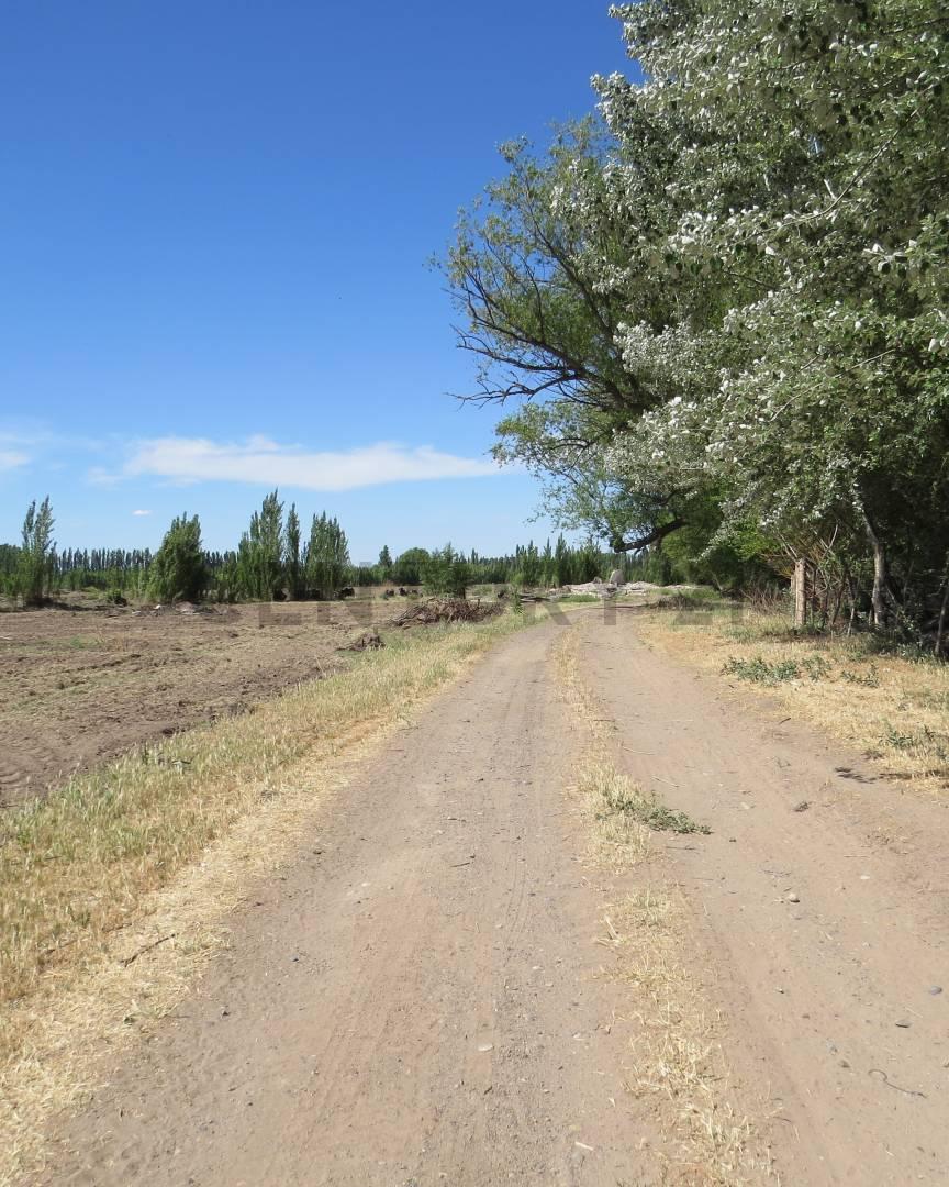 Terreno en el Loteo la Rufina Etapa III — foto 1