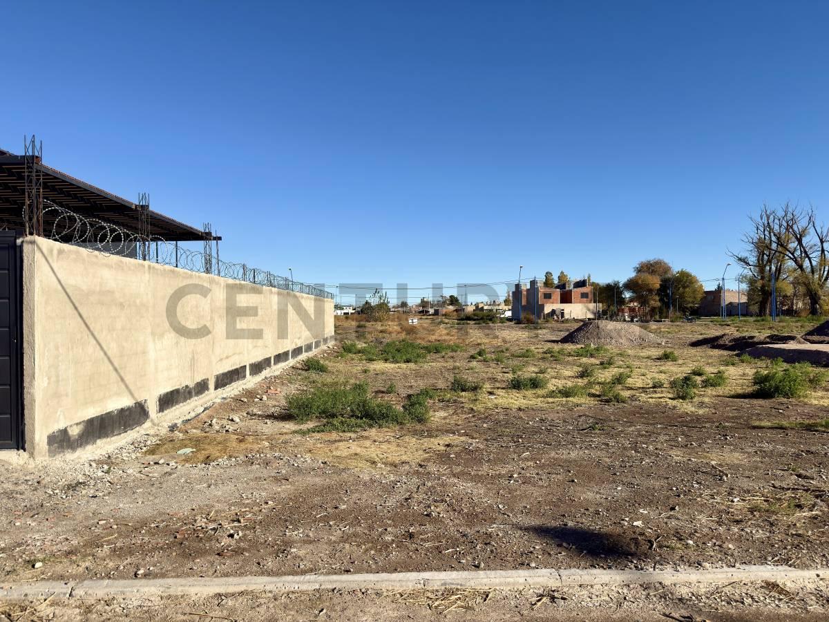 Lote | Terreno | barrio Bartorelli | Ciudad de General Roca — foto 1