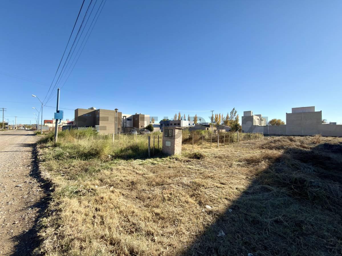 Lote | Terreno | Zona Stefenelli, apto desarrollo. — foto 1