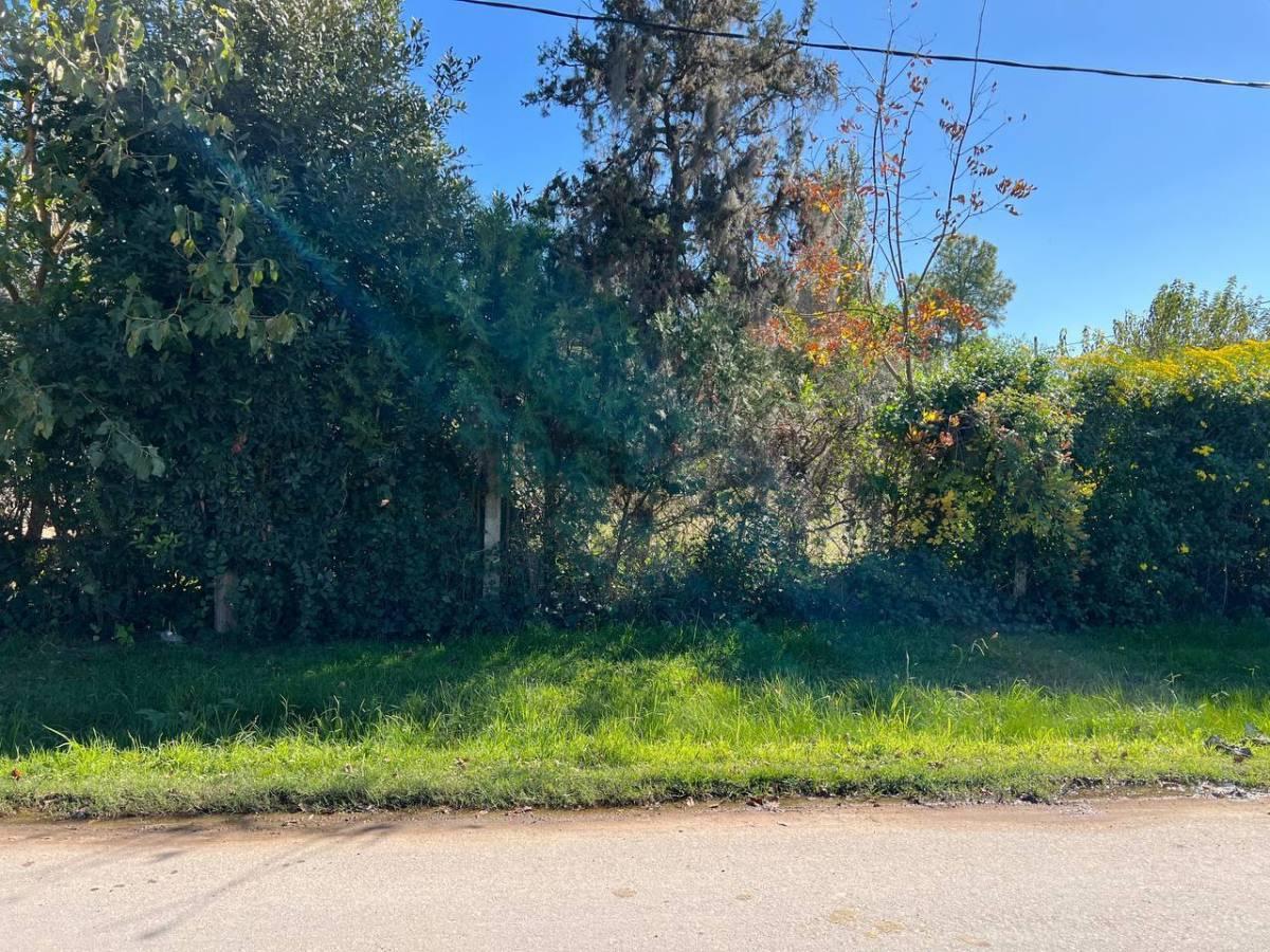 LOTES EN VENTA, VILLA ELVIRA, LA PLATA — foto 1