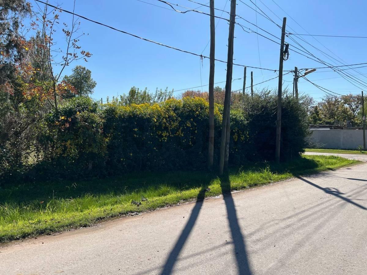 Venta en bloque – 3 lotes linderos en Villa Elvira, La Plata — foto 1