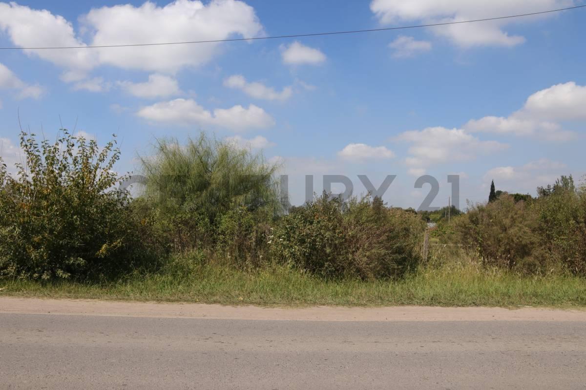 LOTES CON FRENTE A CALLE 419 (AV. ARANA) EN VENTA — foto 1