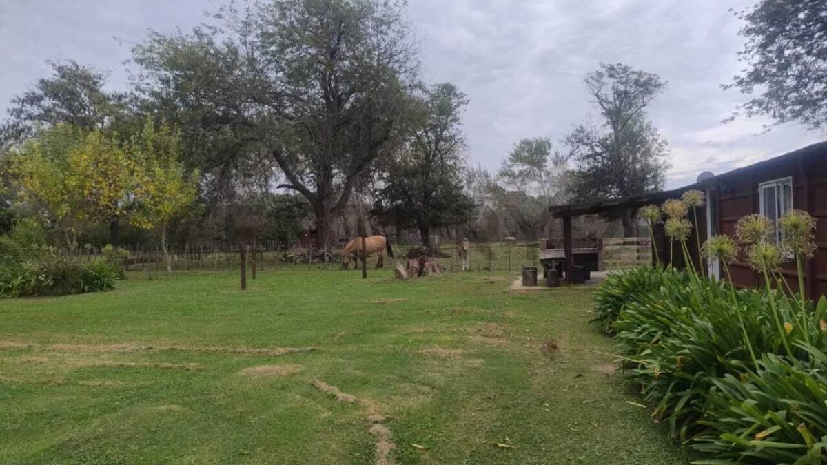 VENTA COMPLEJO DE CABAÑAS RURALES EN PARDO ( CABAÑAS/QUINTA/ CONJUNTO)- LAS FLORES — foto 1