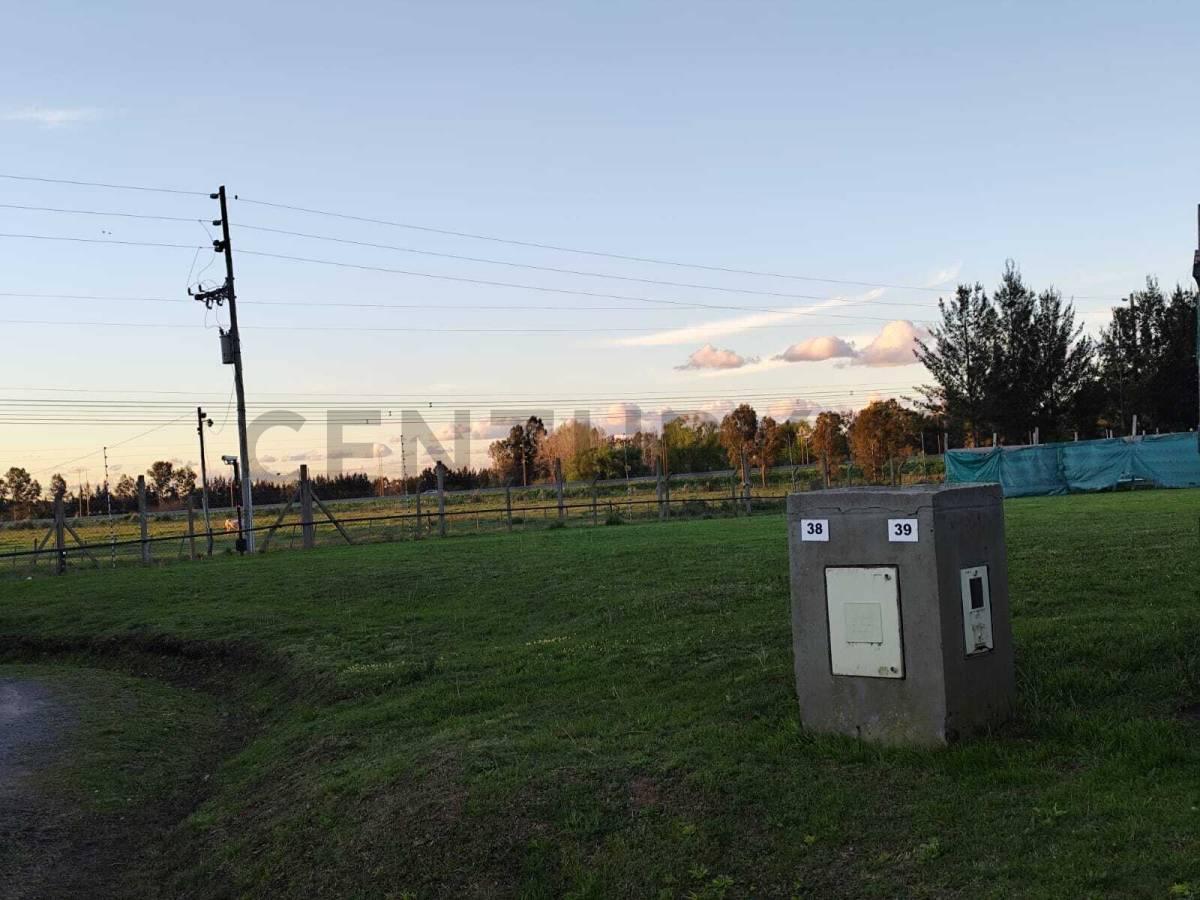 VENTA LOTE 817 M2 CLUB DE CAMPO CRUZ DEL SUR -CORREDOR CANNING - SAN VICENTE — foto 1