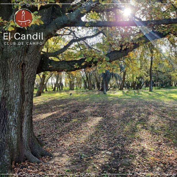 LOTE EN VENTA EN CLUB DE CAMPO EL CANDIL — foto 1