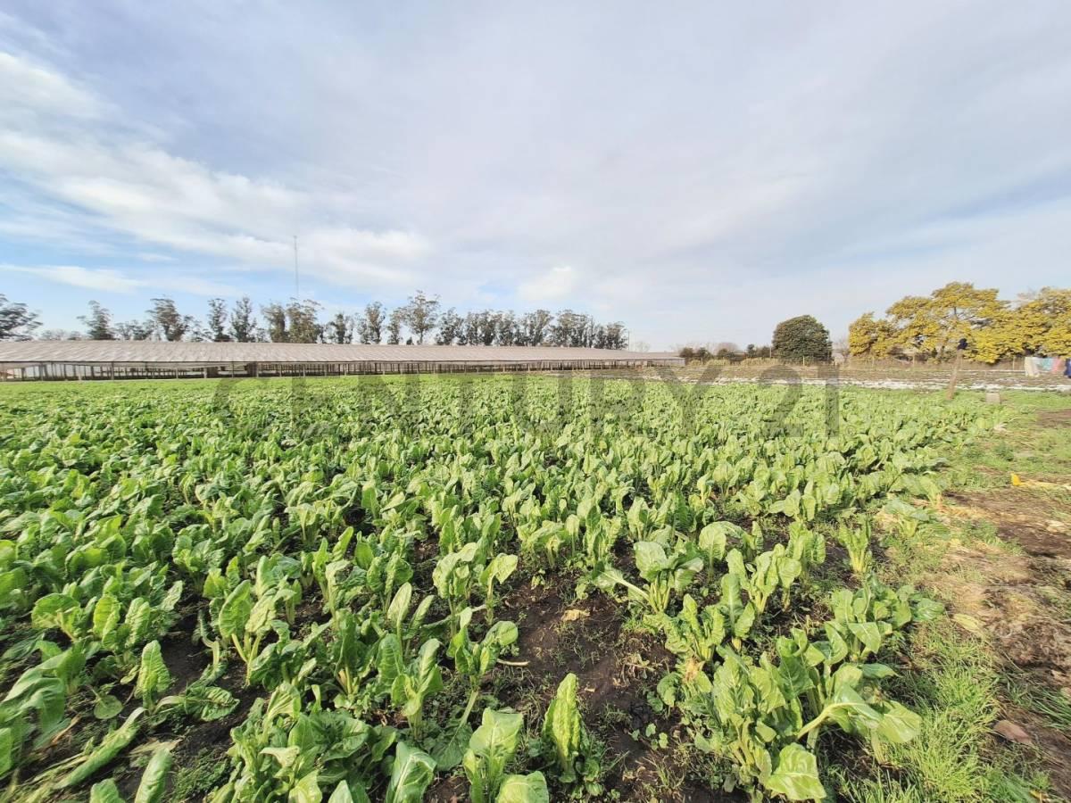 Campo de 5has. en zona Las Retamas — foto 1