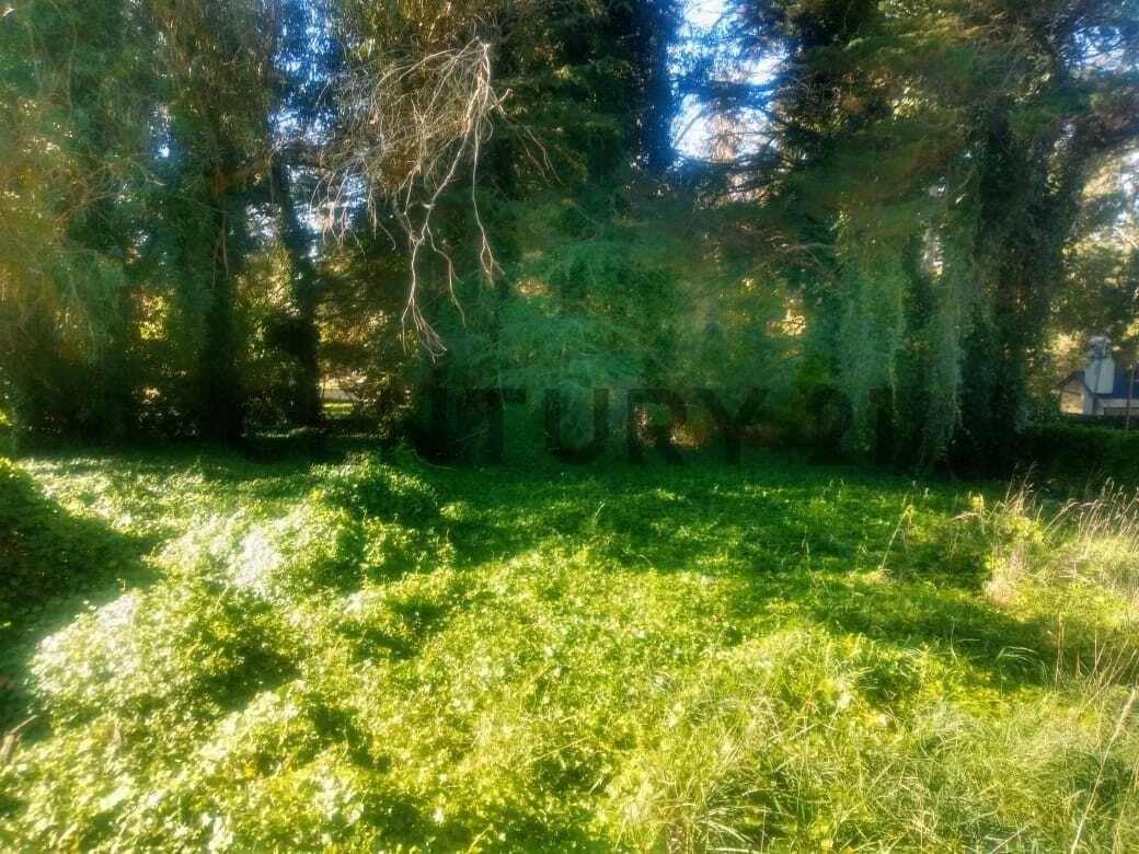 Vendo Lote en Sierra de los Padres. — foto 1