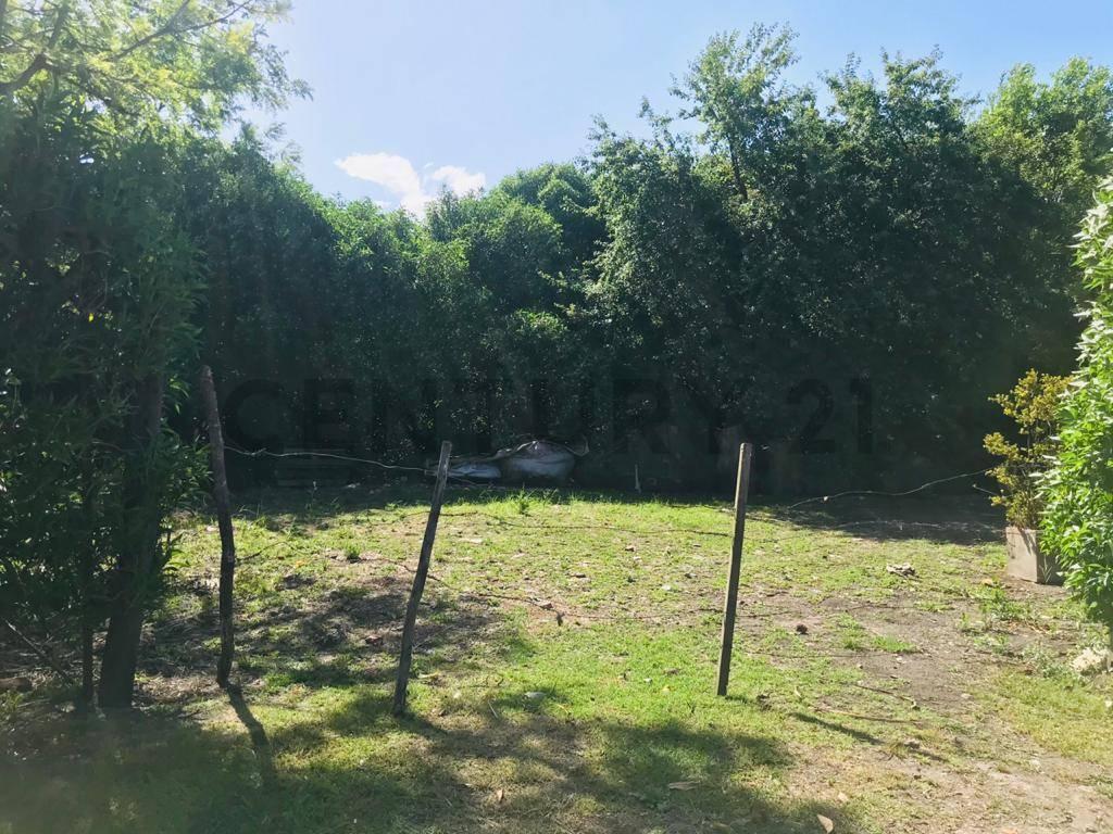LOTE EN VENTA BARRIO SAN CARLOS ID 20072 — foto 1