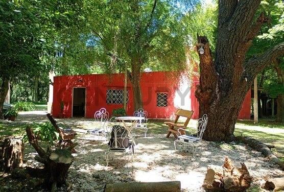 VENTA QUINTA CON PILETA 3 HECTAREAS EN PILAR — foto 1