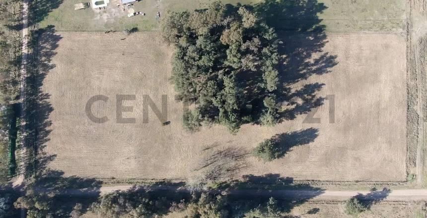 VENTA DE CAMPO BRANDSEN 2.5 HECTAREAS INVERSOR — foto 1