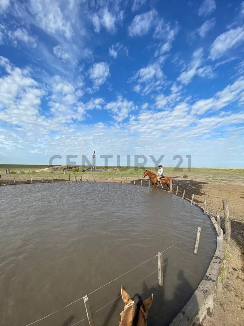 VENTA CAMPO 5.000 has. EN HUANQUEROS, SANTA FE — foto 1
