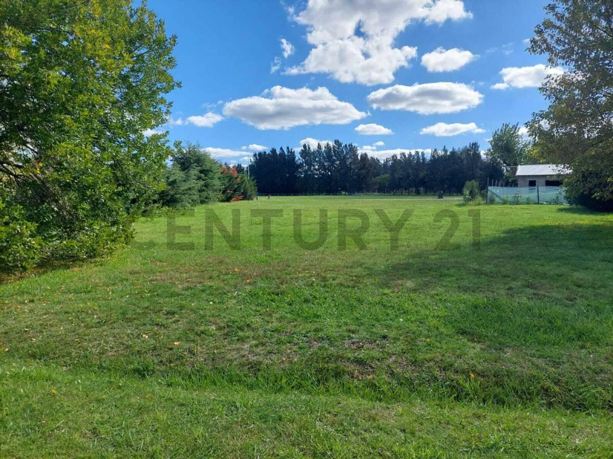 Terreno en venta en El Paraíso Country Club — foto 1