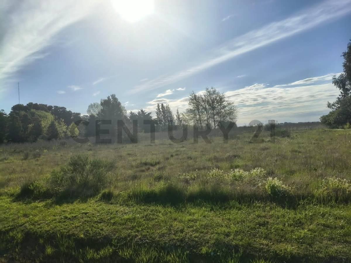 LOTES EN VENTA SAMBOROMBON BRANDSEN — foto 1