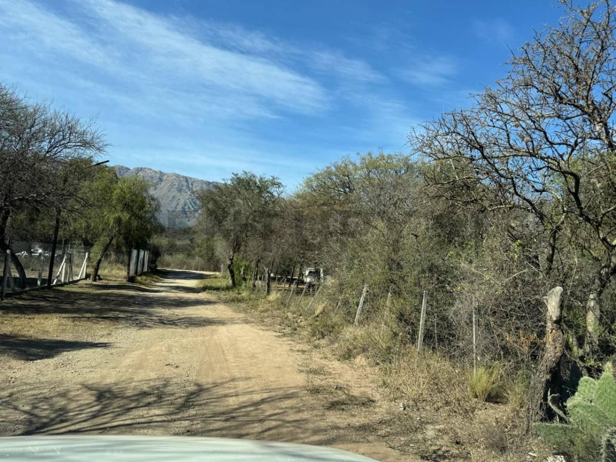 CAMPO DE 3,8 ha EN VENTA – QUEBRACHO LADEADO, CÓRDOBA- IDEAL EMPRENDIMIENTO- FRENTE RUTA 14 — foto 1