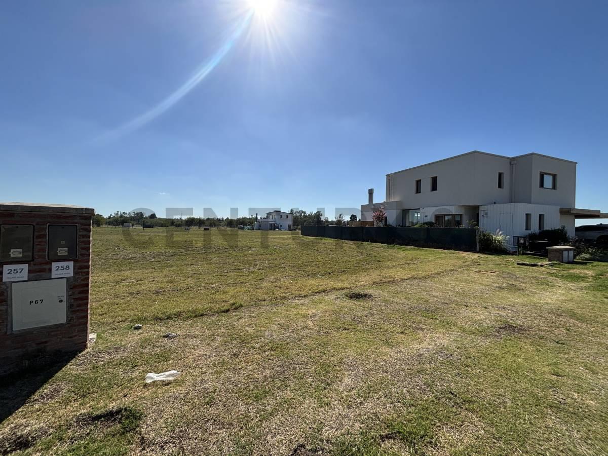 VENTA Lote 600 m² CENTRAL en Village Joven – Bella Vista – Excelente ubicación y gran proyección — foto 1