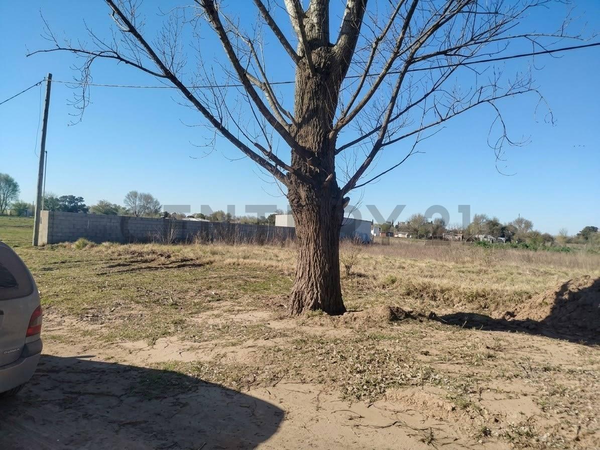 TERRENO EN VENTA AMENABAR — foto 1