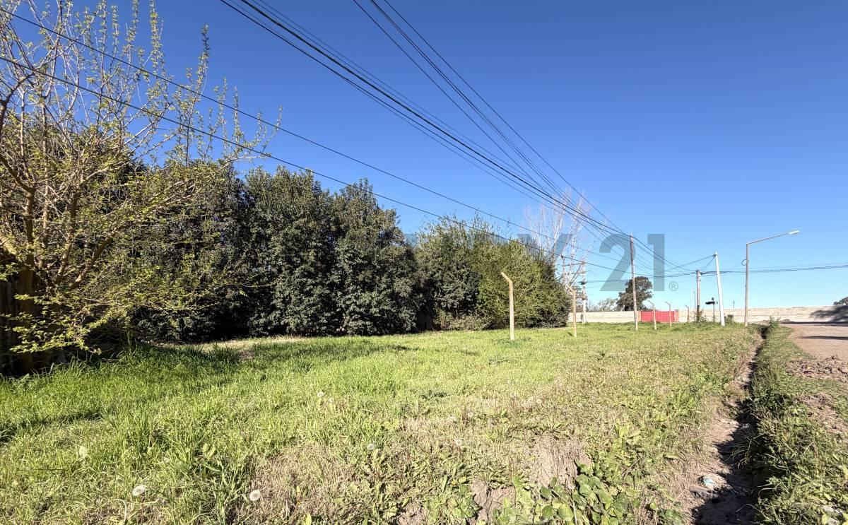 TERRENO CERRITO Y ÁNGEL ETEROVICH - VENADO TUERTO — foto 1