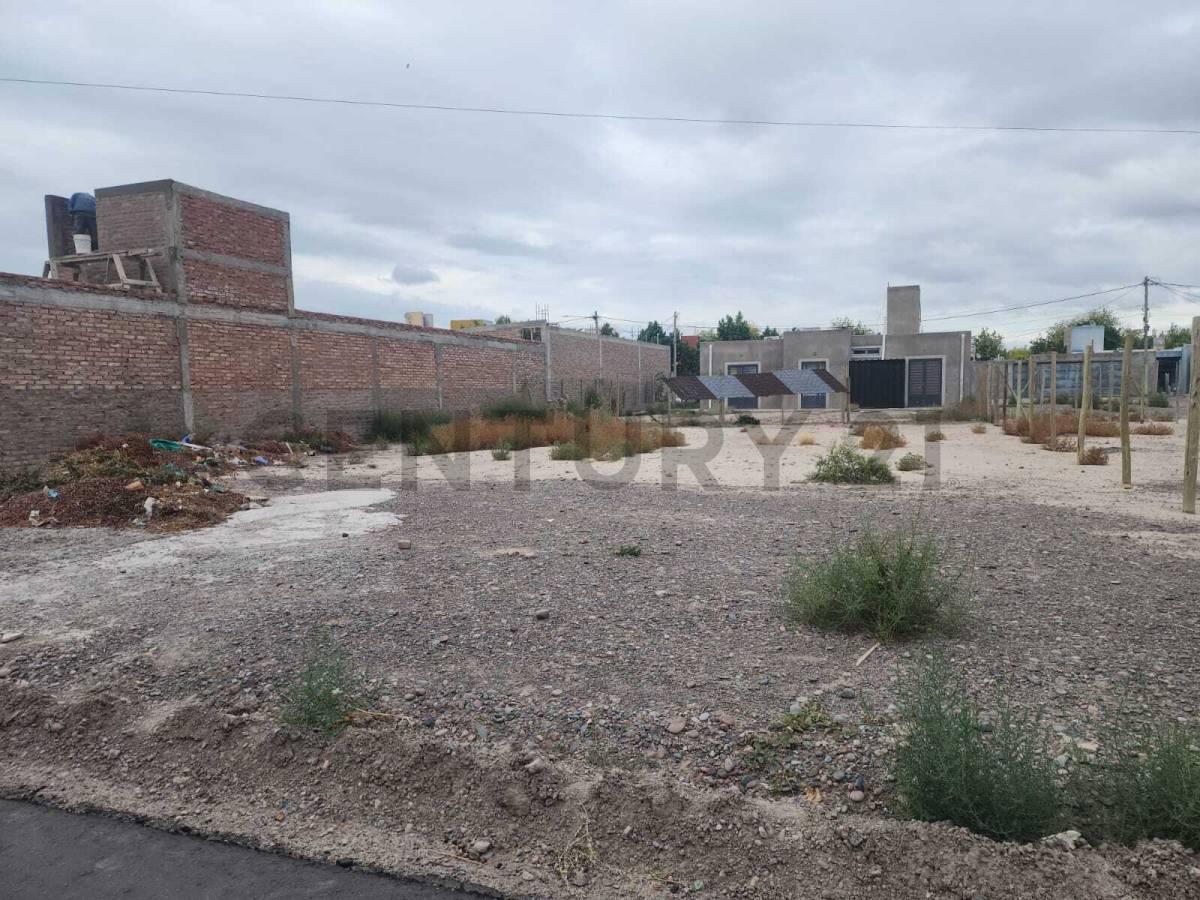 TERRENO EN RIVADAVIA — foto 1