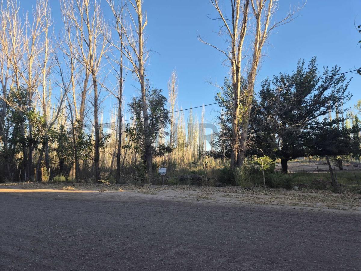 ALQUILER TERRENO 11000 M2 - BARREAL — foto 1