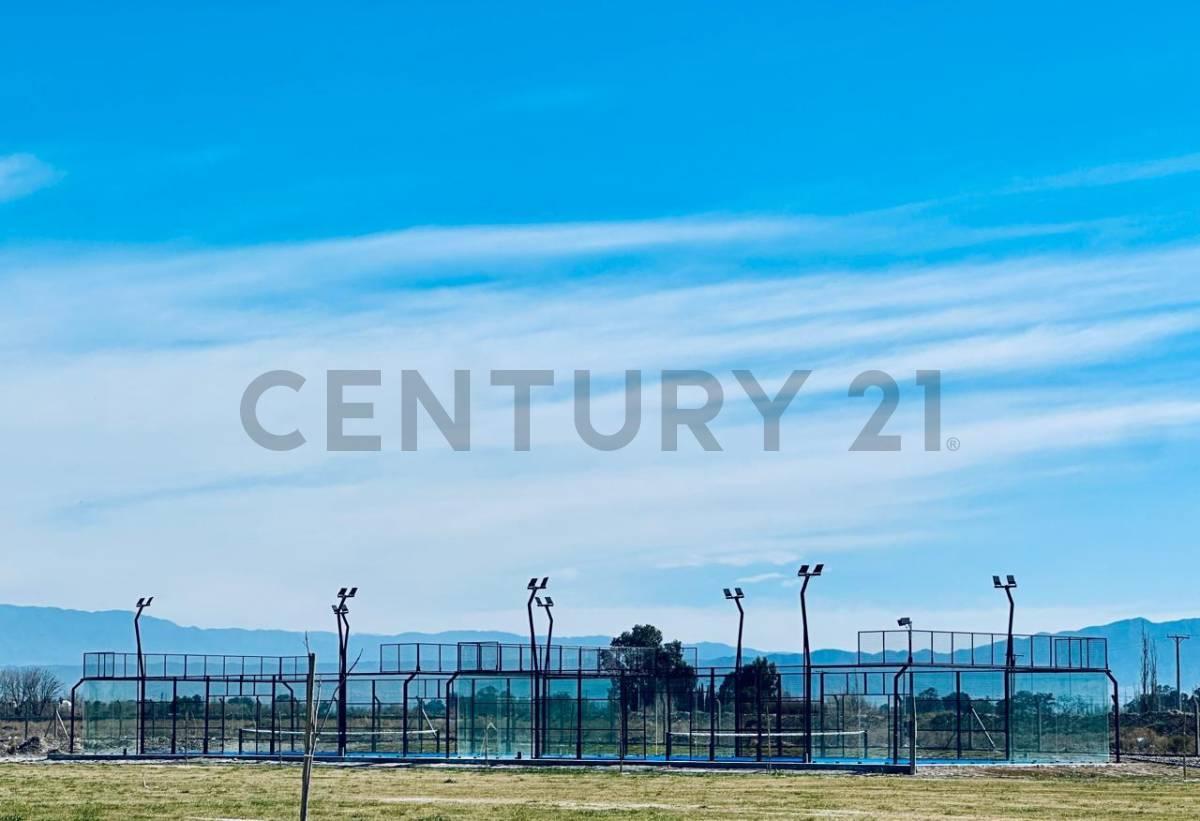 Luva Club de campo - Lote — foto 1