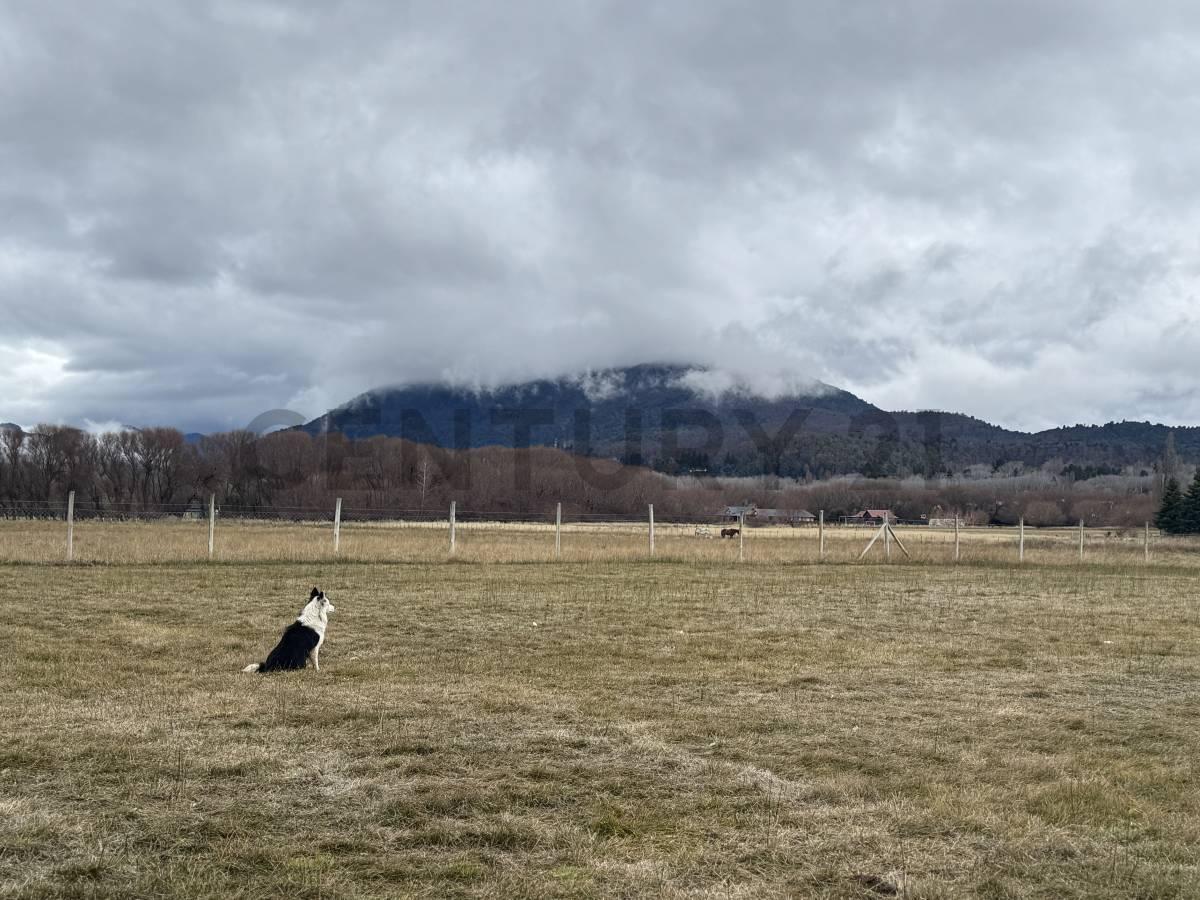 VENTA TERRENO SAN MARTIN DE LOS ANDES. CALLEJON DE BELLO — foto 1