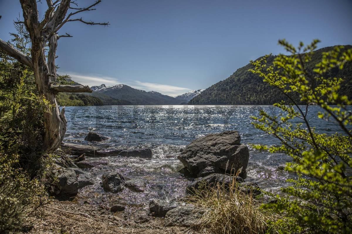 VENTA CAMPO LAGO HERMOSO. ( RUTA 7 LAGOS) PATAGONIA — foto 1