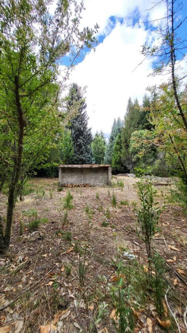 VENTA LOTE LAGO MELIQUINA . EXCLUSIVO LOTE DE 2.575 m² CON COSTA DE ARROYO EN LA PENINSULA DE MELIQ — foto 1