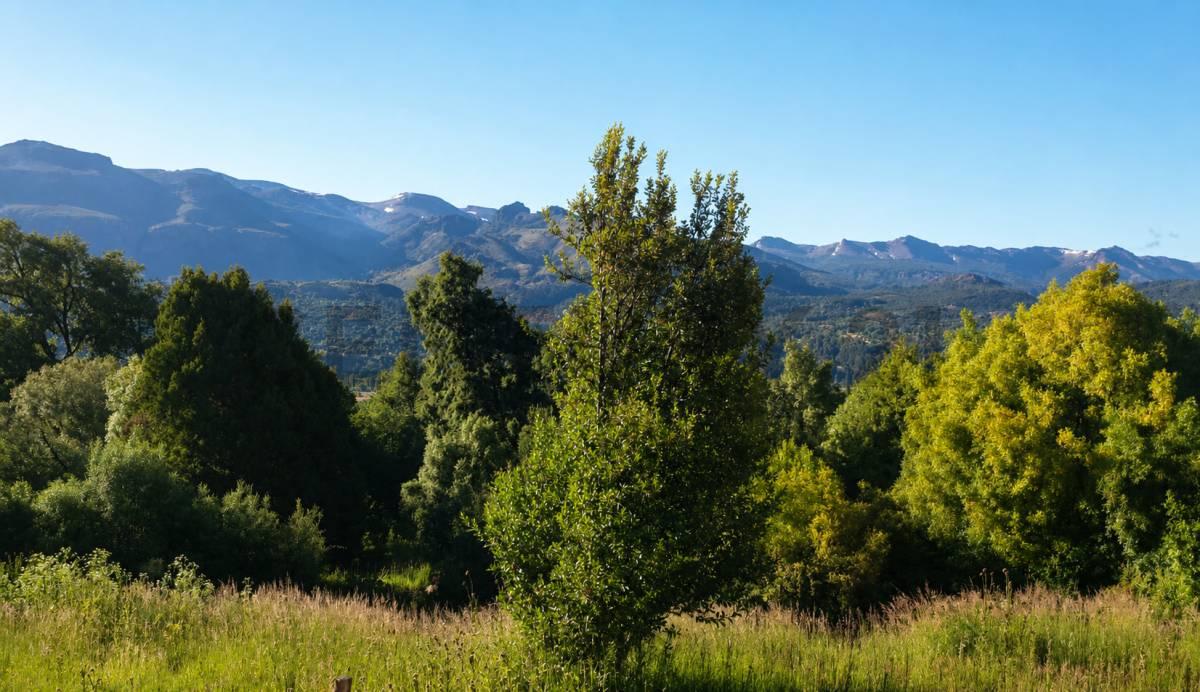Lote en Venta en San Martin de los Andes - Terrazas de Bella Vista — foto 1