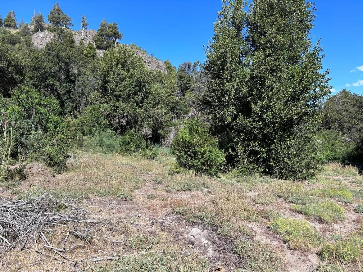 LOTE EN VENTA EN VILLA MELIQUINA. SAN MARTIN DE LOS ANDES — foto 1