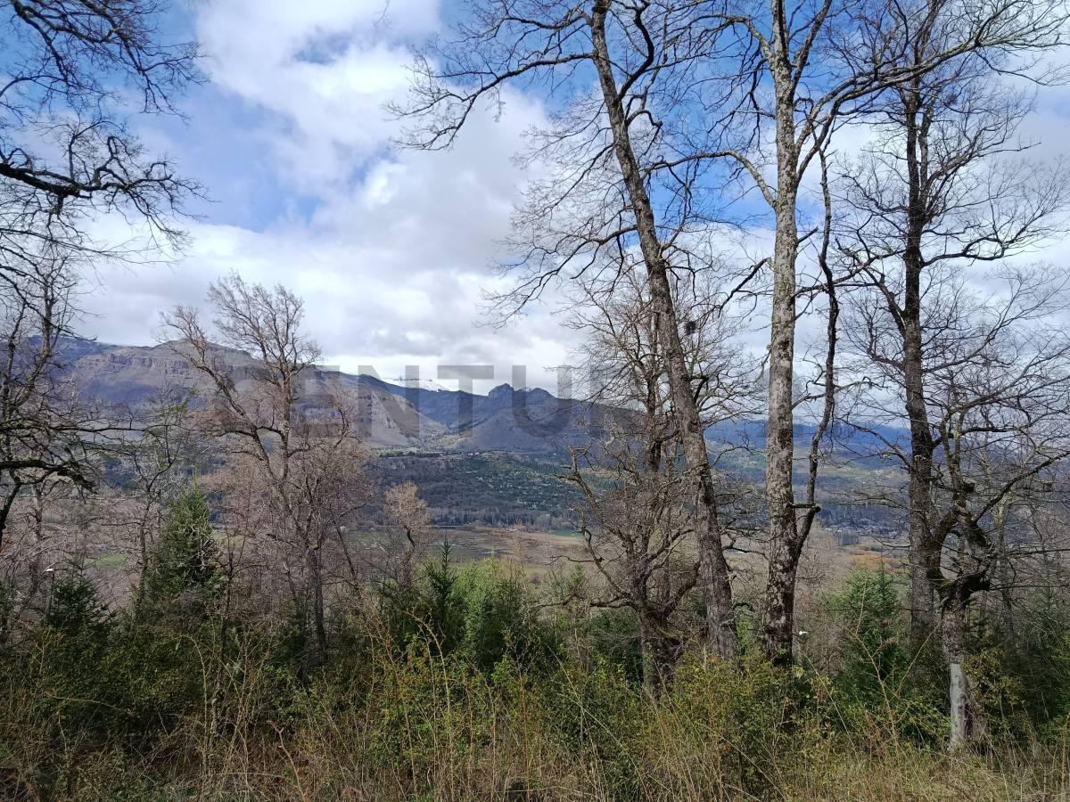 VENTA LOTE SAN MARTIN DE LOS ANDES. BARRIO LAS VERTIENTES — foto 1