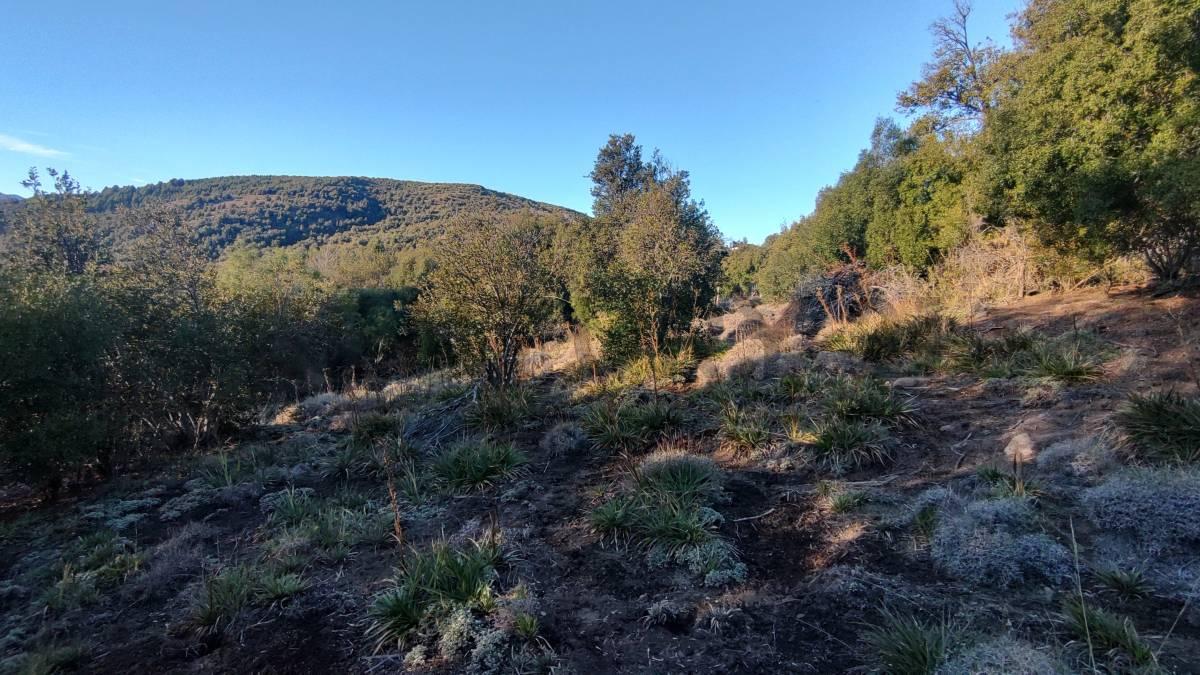 VENTA LOTE EN SAN MARTIN DE LOS ANDES — foto 1