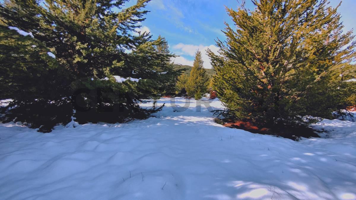 VENTA LOTE EN VILLA MELIQUINA - SAN MARTIN DE LOS ANDES — foto 1