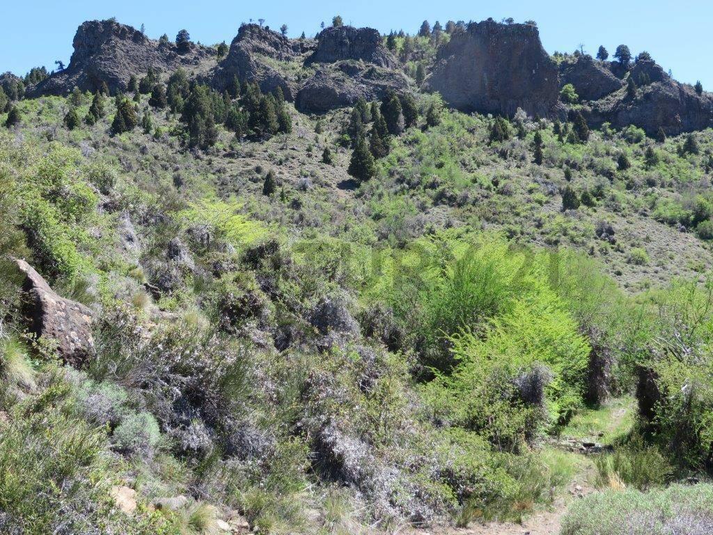 VENTA CAMPO CORDILLERA EN ALUMINE, PATAGONIA — foto 1