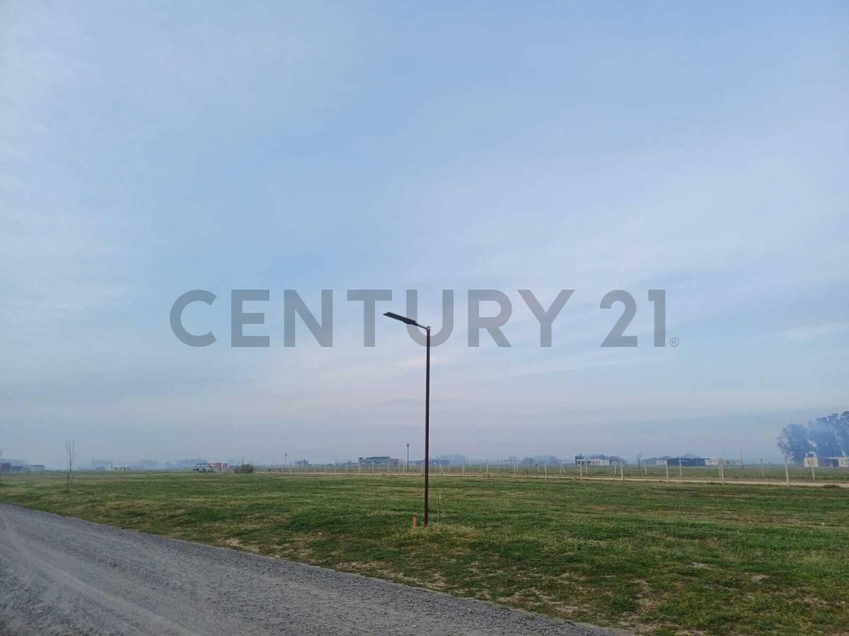 Venta de Amplio lote 1000 m2 en Barrio Polo Tres Pinos Villa de Campo General Rodriguez — foto 1