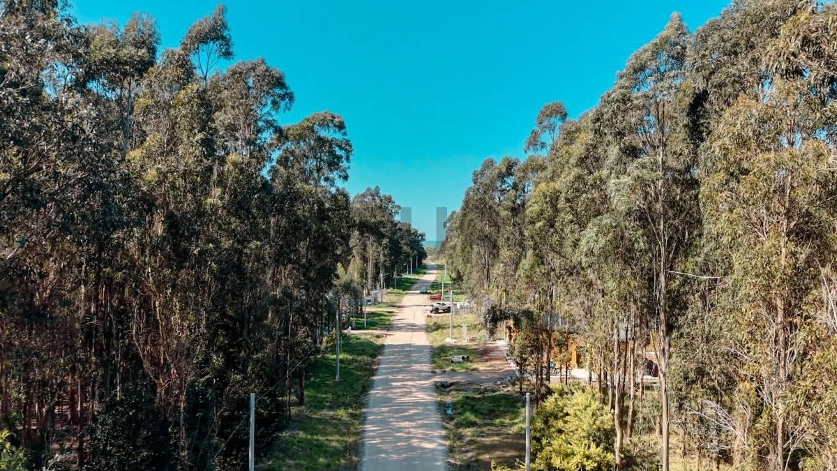VENTA DE LOTE EN BARRIO TIPANTÚ — foto 1