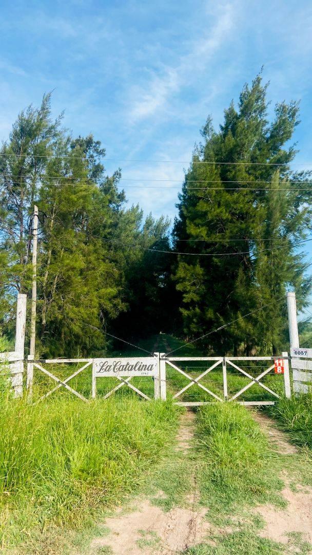 Venta de Campo de 72 hectareas, Brandsen. — foto 1
