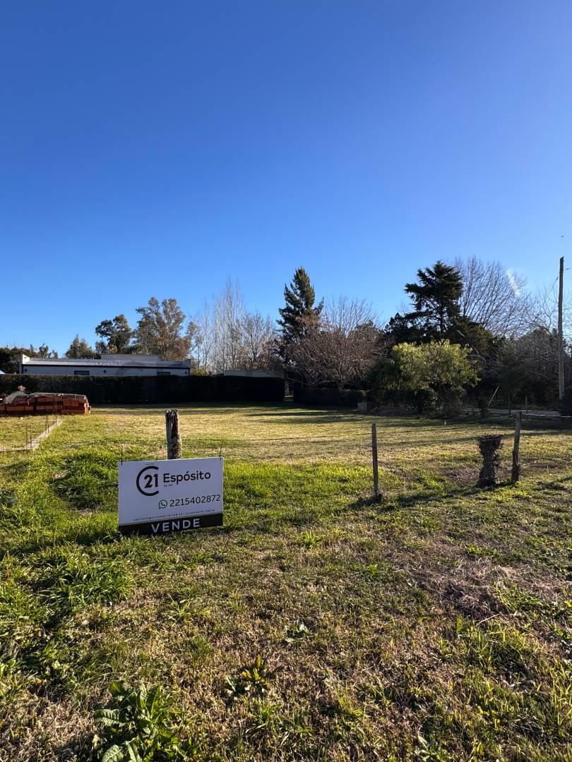 Lote en Venta en Villa Elisa — foto 1