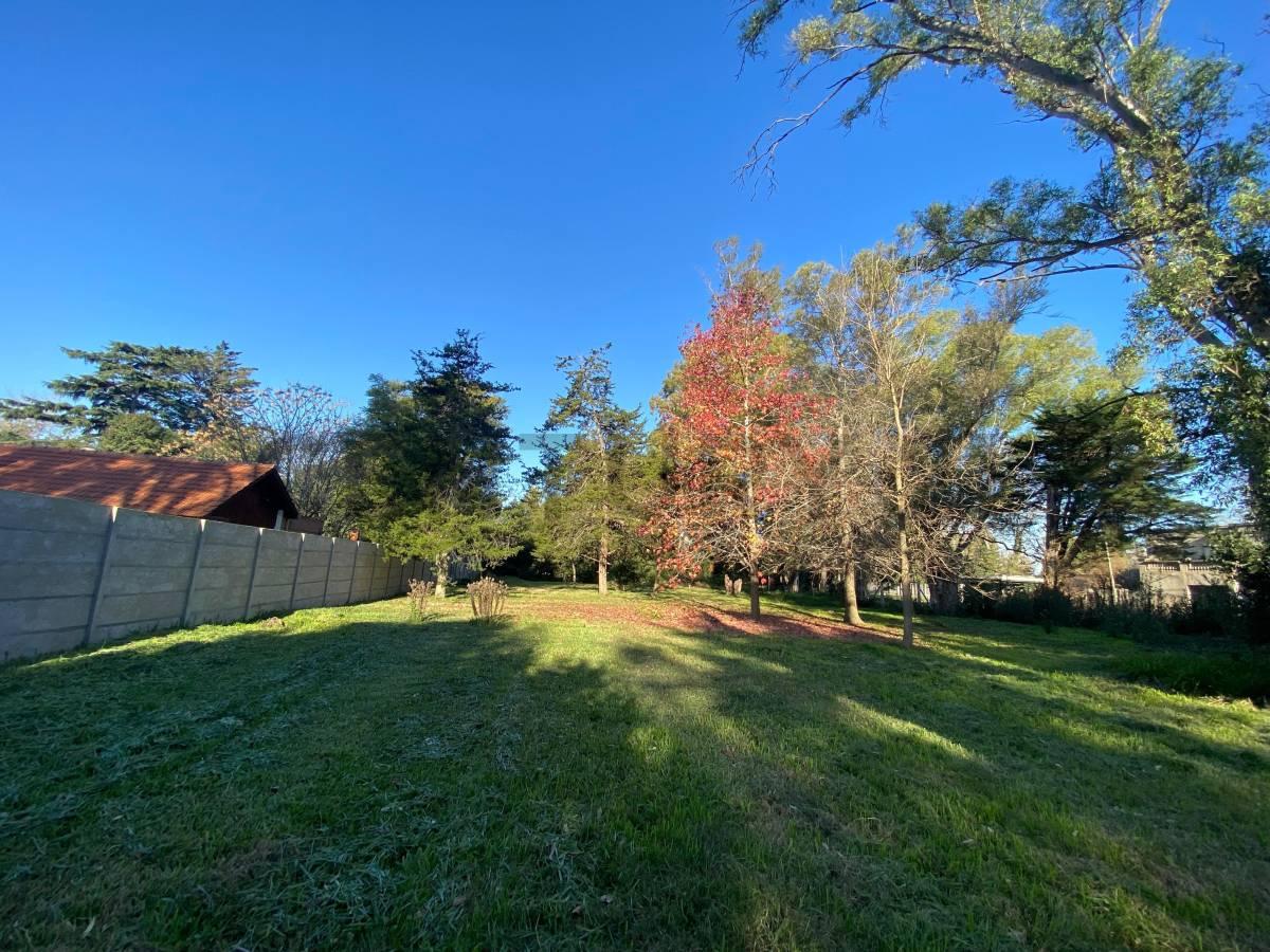 Terreno en venta Villa Elisa sobre Av. Arana — foto 1
