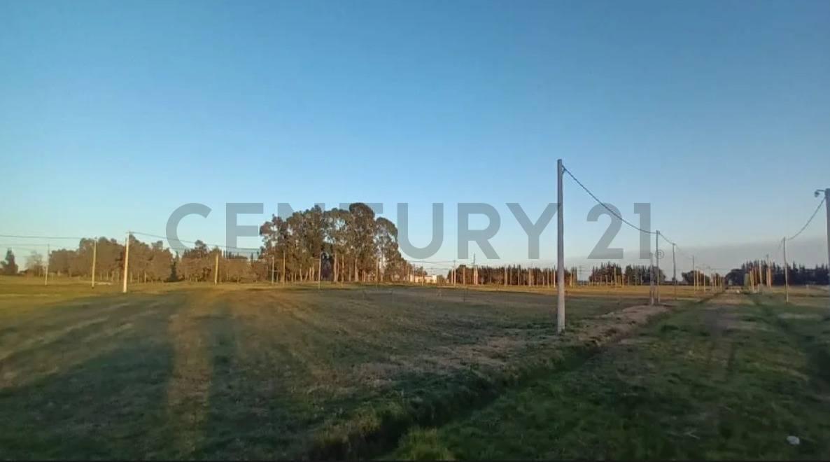 Lote en venta en barrio cerrado La Aldea del Bosque 2 LISANDRO OLMOS — foto 1