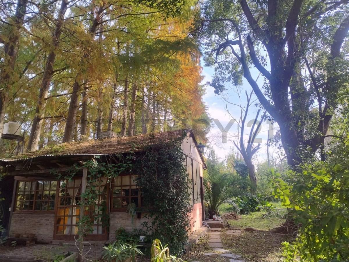 CASA EN ISLA EN VENTA – DELTA TIGRE — foto 1